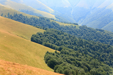 Similar image 434926