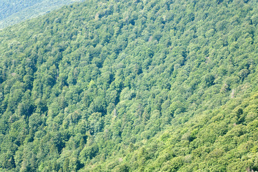 Similar image 434927