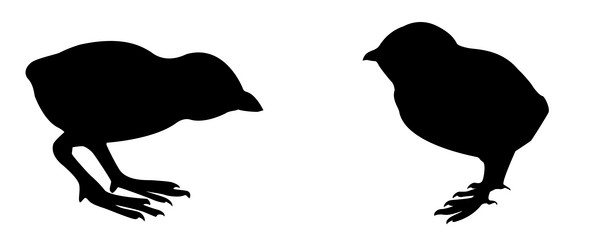 Similar image 434944