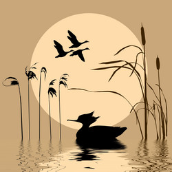 Similar image 434956