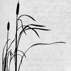 Similar image 434960