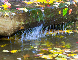 Similar image 434980