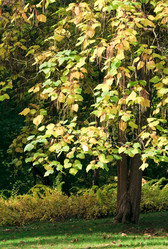 Similar image 434984