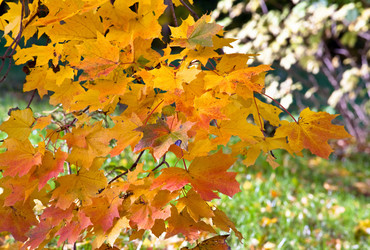 Similar image 434989