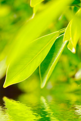 Similar image 435002