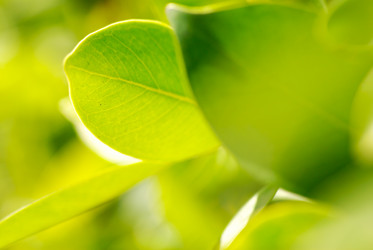 Similar image 435014