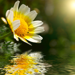 Similar image 435022