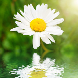 Similar image 435024