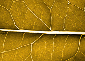 Similar image 435073