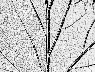 Similar image 435090