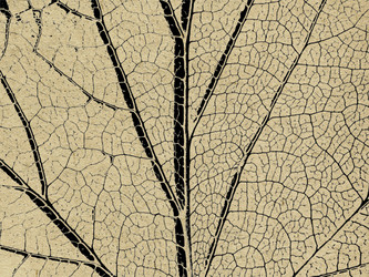 Similar image 435091