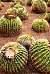 Similar image 435116