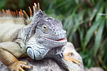 Similar image 435119