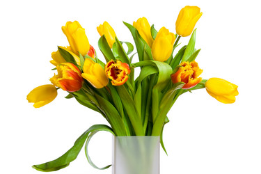 Similar image 435143