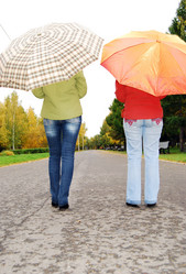 Similar image 435148