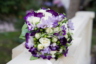 Similar image 435182