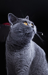 Similar image 435193