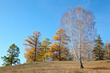 Similar image 435198