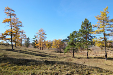 Similar image 435200