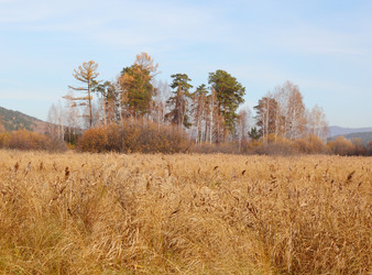 Similar image 435227