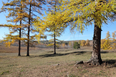 Similar image 435229