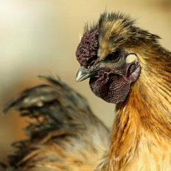 Similar image 435252