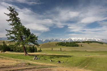 Similar image 435253