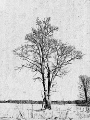 Similar image 435272