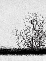 Similar image 435298