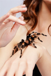 Similar image 435364