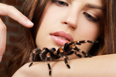 Similar image 435370