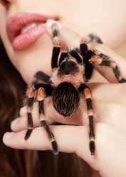 Similar image 435373