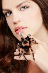 Similar image 435377