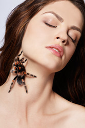 Similar image 435379