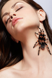 Similar image 435380