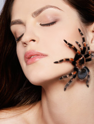 Similar image 435382