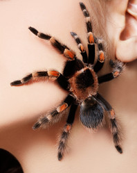 Similar image 435385