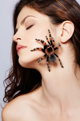 Similar image 435386