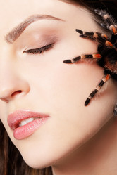 Similar image 435387