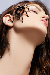 Similar image 435390