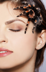 Similar image 435392