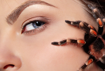 Similar image 435413