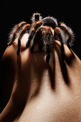 Similar image 435421