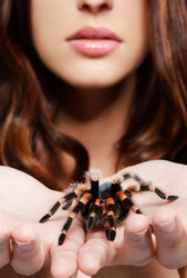 Similar image 435424