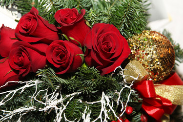 Similar image 435431