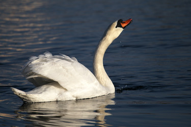 Similar image 435443