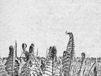 Similar image 435444