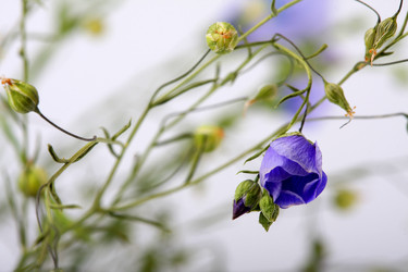 Similar image 435445