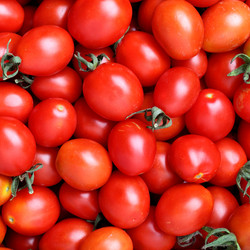 Similar image 435481