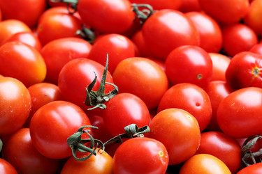 Similar image 435484